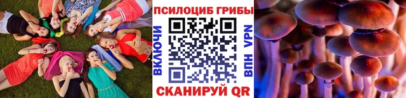 darknet наркотические препараты  mega ссылки  Мураши  Псилоцибиновые грибы мухоморы 