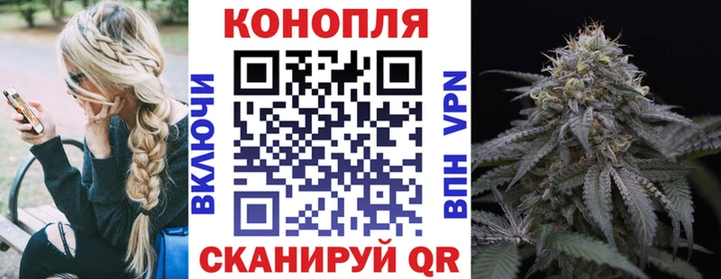 блэк спрут маркетплейс  Мураши  Каннабис семена 
